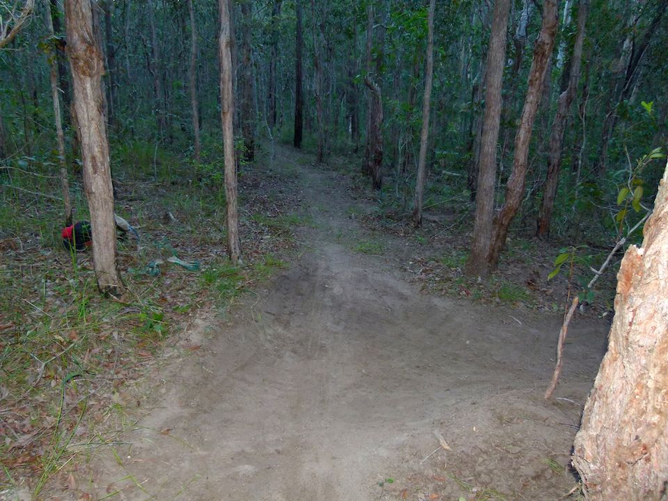 P1130988.jpg